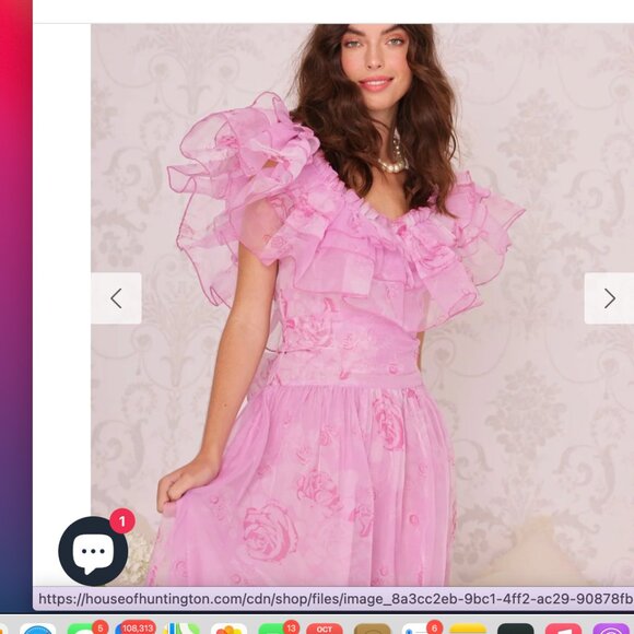 AMY JANE LONDON $459 loveshackfancy style organza whimsical aurora gown XS NWT - Picture 4 of 8